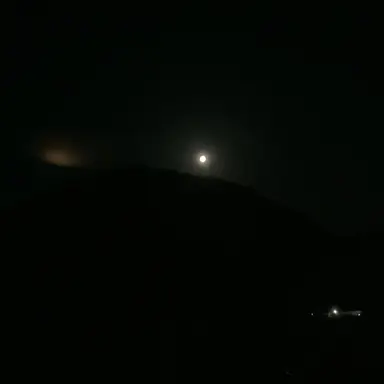 Profile image of ロン