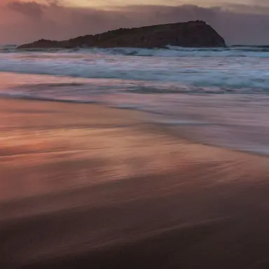 Profile image of ミカエラ