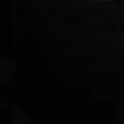 Profile image of 박 성 호