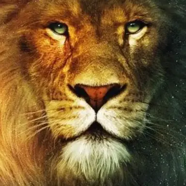 Profile image of 아슬란