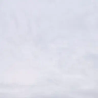 Profile image of 稲荷崎高校