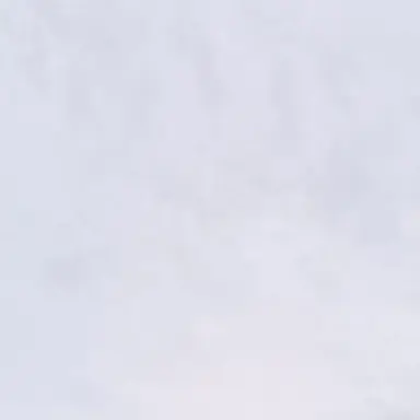Profile image of 音駒高校