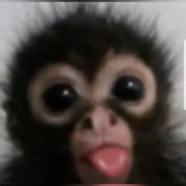 Profile image of 진다진