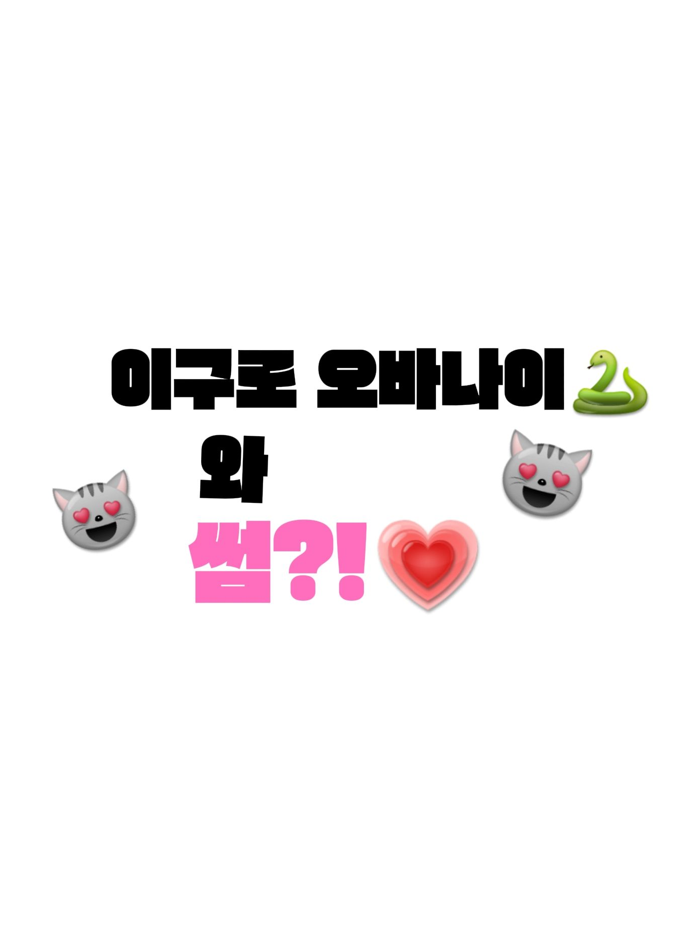 개인용 대표 이미지