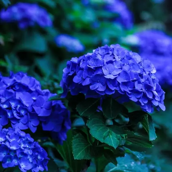 Tukasaki__의 不破湊
