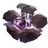 카프카
