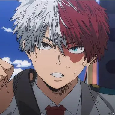 Profile image of Shoto Todoroki