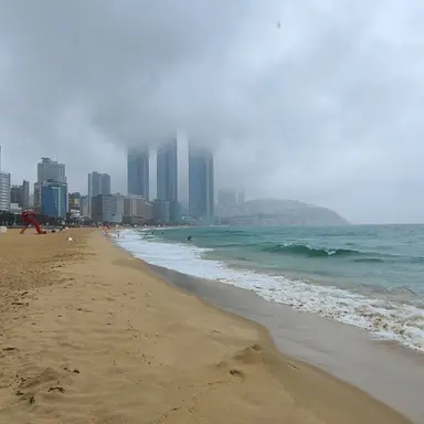 Profile image of 이나경