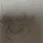 テロ