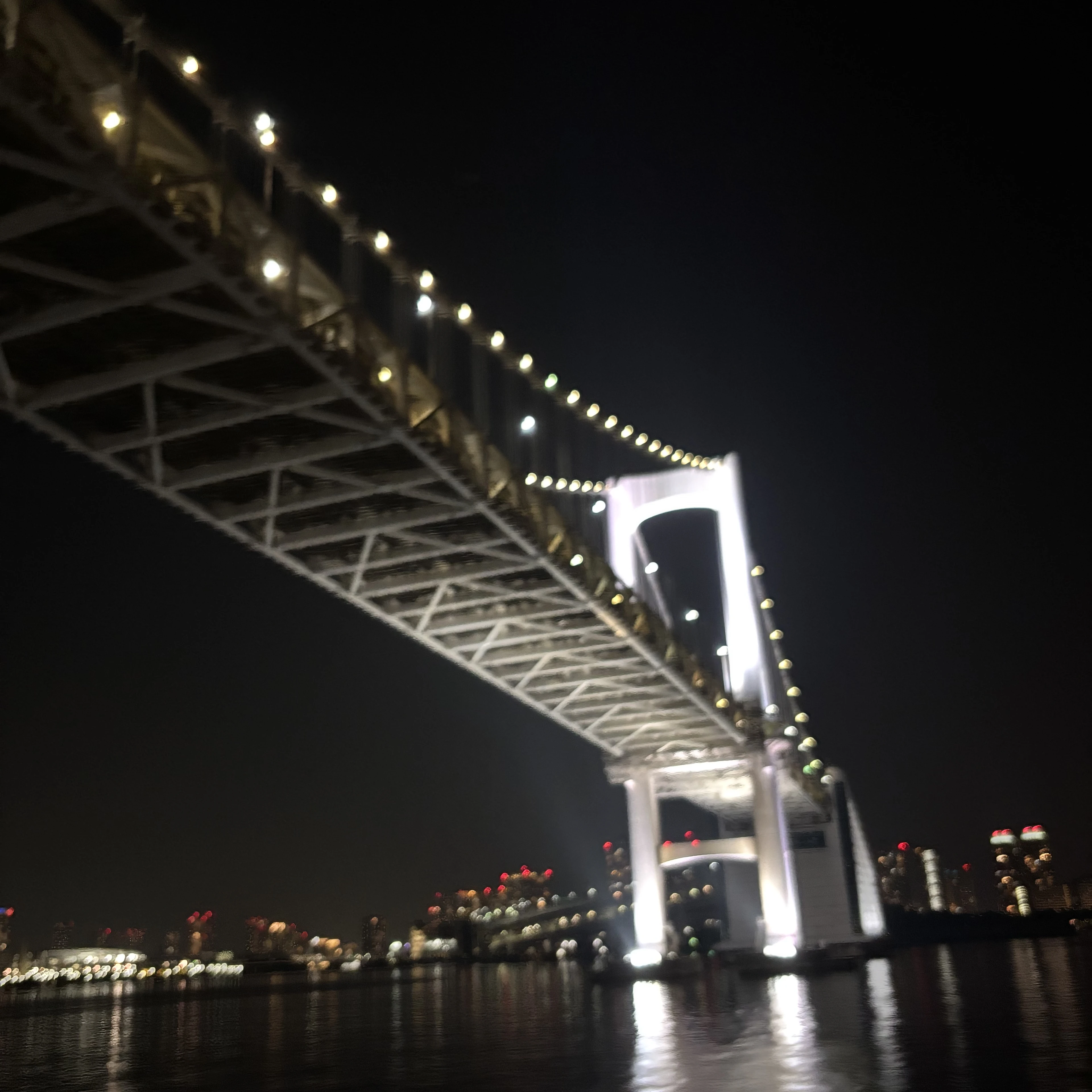 キムイヌ