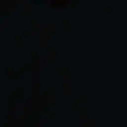 Profile image of ハーケン