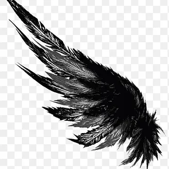 Profile image of 정체불명의 남자