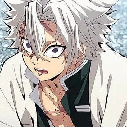 LeviAckermanlove의 시나즈가와 사네미