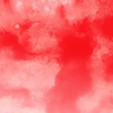 Profile image of 葛葉