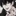 정하민