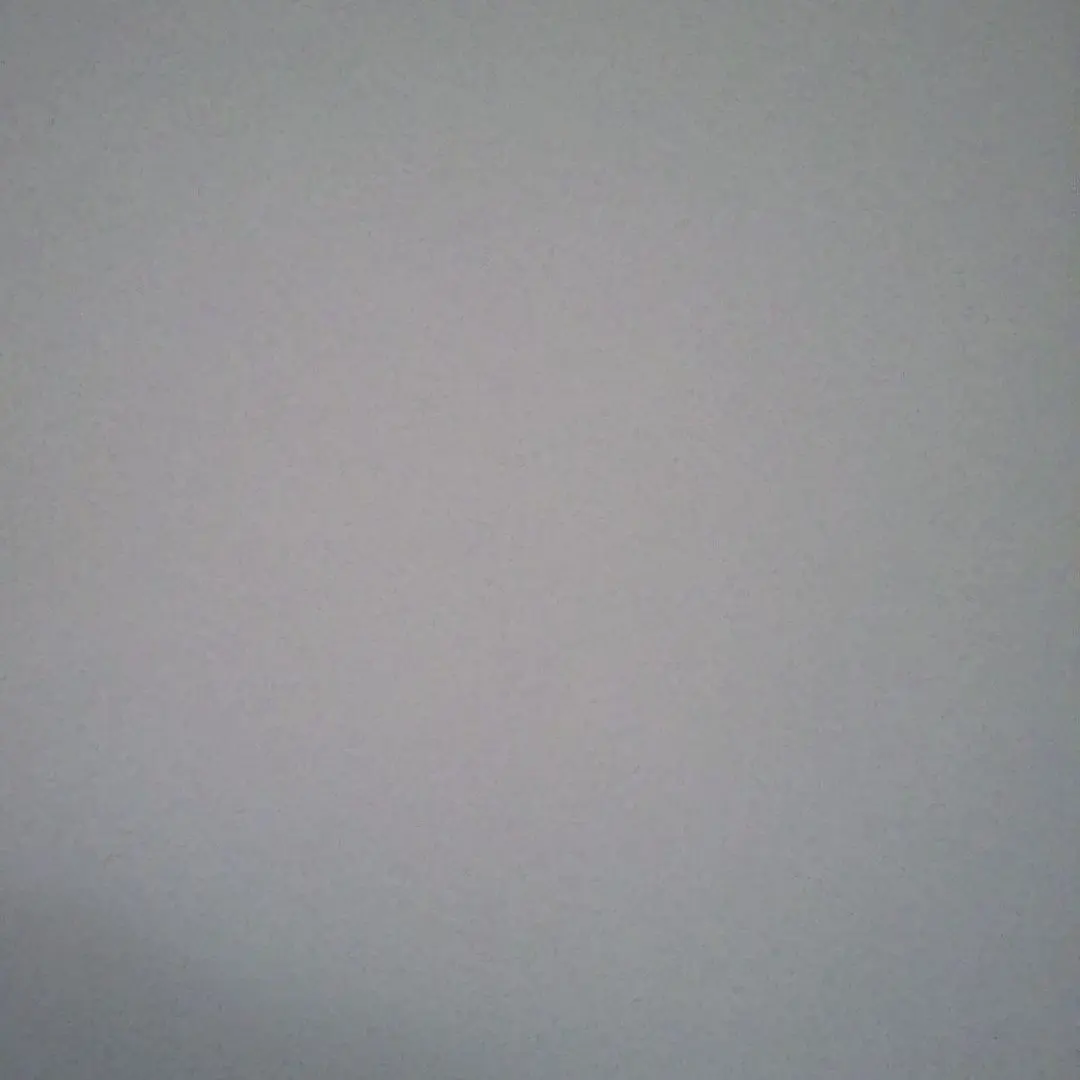 stay8.1.의 황현진