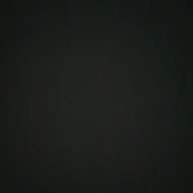 Profile image of 이수진