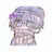 らっだぁ