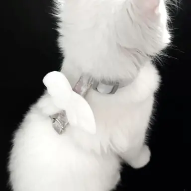 Profile image of 勇志