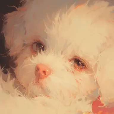 Profile image of 몽이