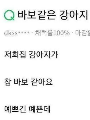 RoughHost0519의 ㅤㅤㅤ
