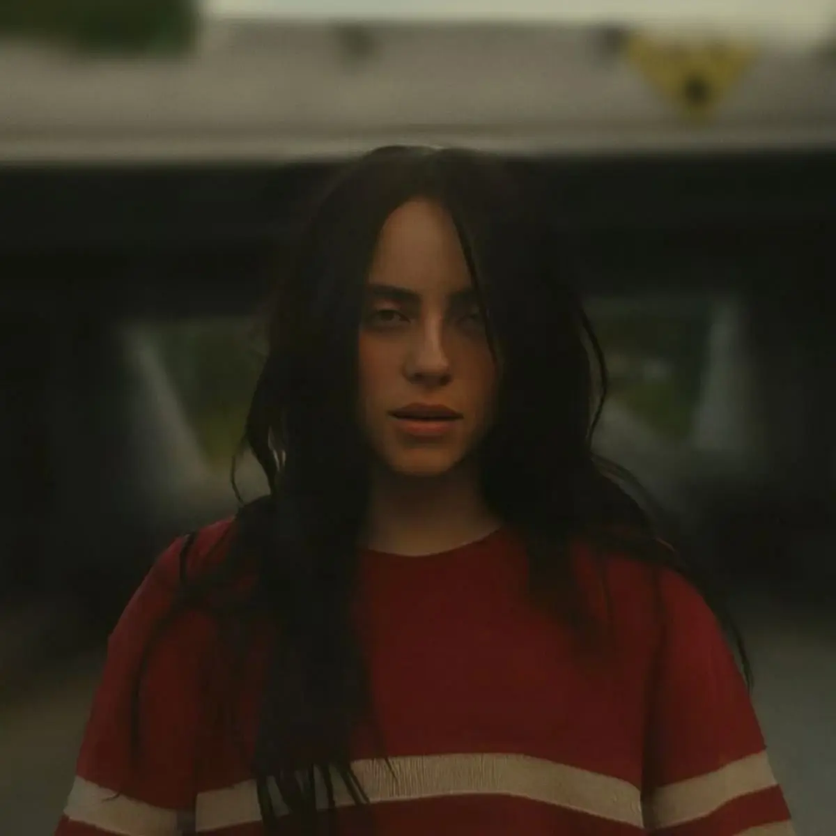 DarkKnee8860의 Loving Billie Eilish