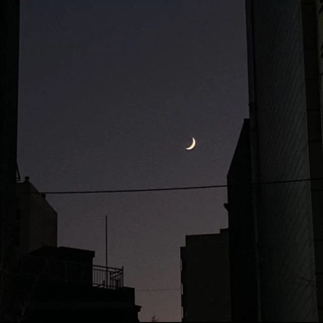 바보 같은 안전한 남자