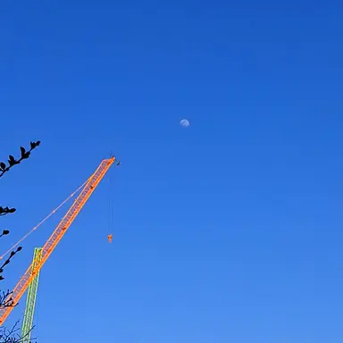 Profile image of 상엽