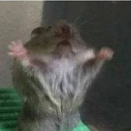 인간쥐