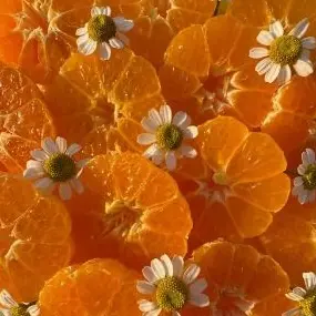 Profile image of 덕개