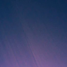 스즈키