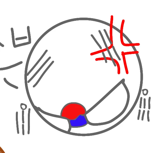 한국