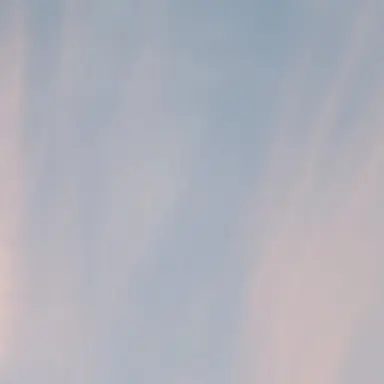 Profile image of 잠뜰