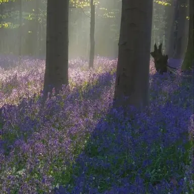 Profile image of 황수현