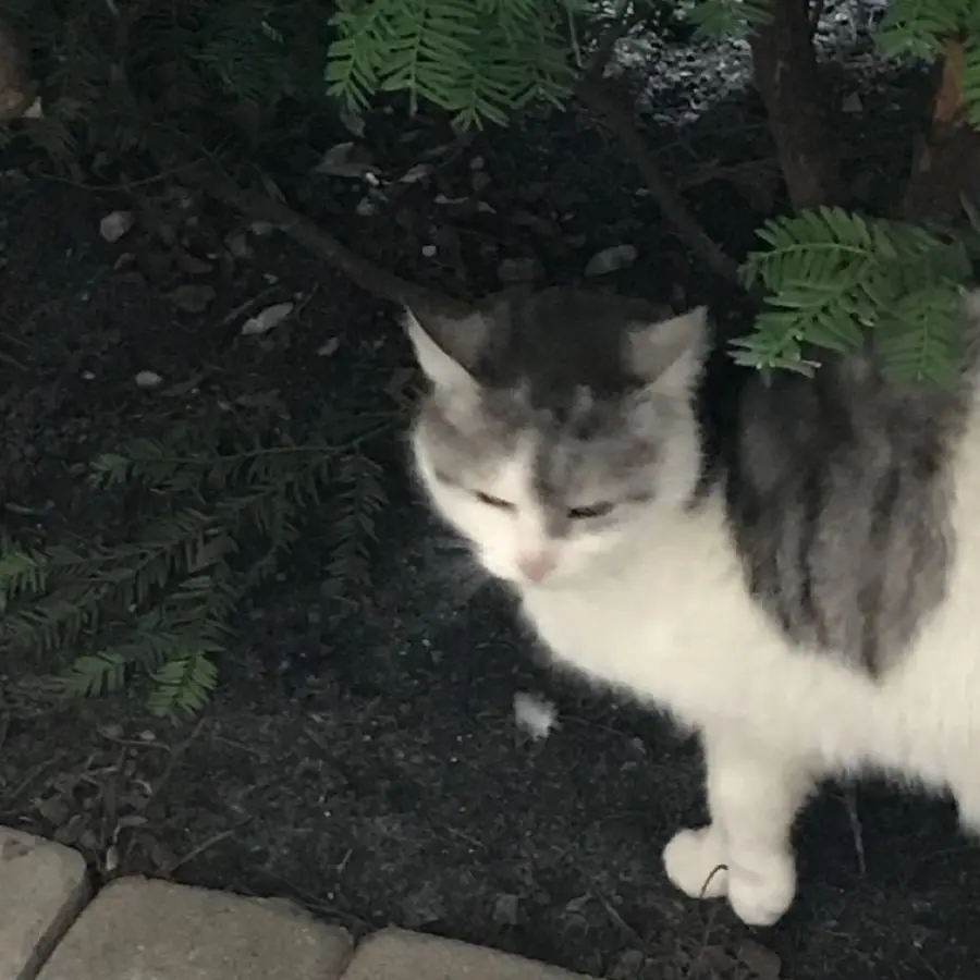 yeonu71의 유지민