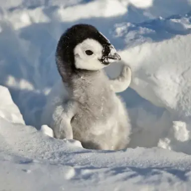 Profile image of 미니