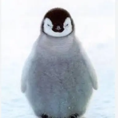 Profile image of 띠띠