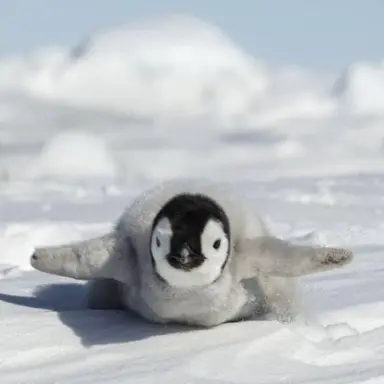 Profile image of 나나