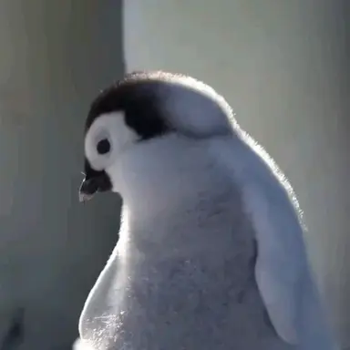 Profile image of 미나