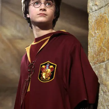 Profile image of Harry Potter