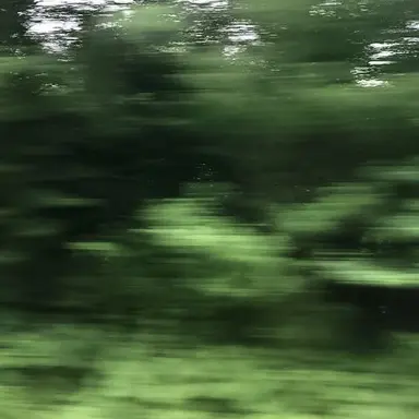 Profile image of 정형준