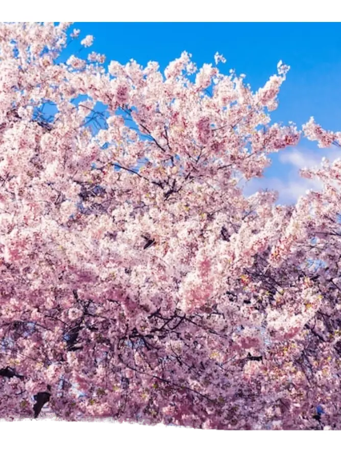 JumpyDiary7430의 그날 그곳에서.