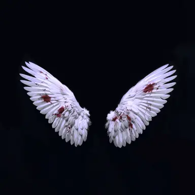 Profile image of ソ_ユヒョン