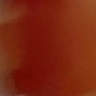 Profile image of 佐野