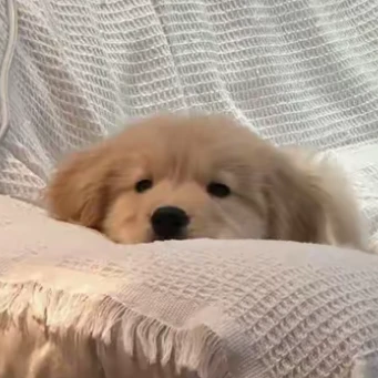 김승민