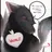 살벌한 고양이?