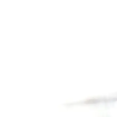 Profile image of 코쵸우 시노부