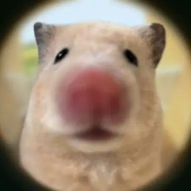 Profile image of 임세진