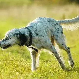 Profile image of 리타