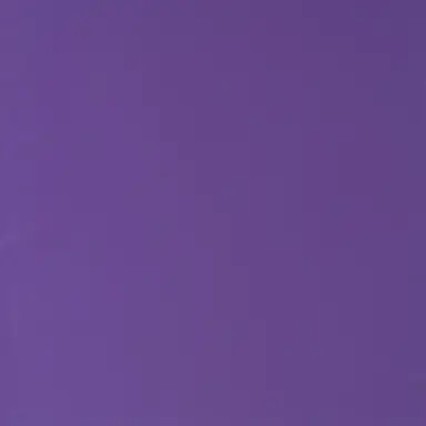 Profile image of 崇裕